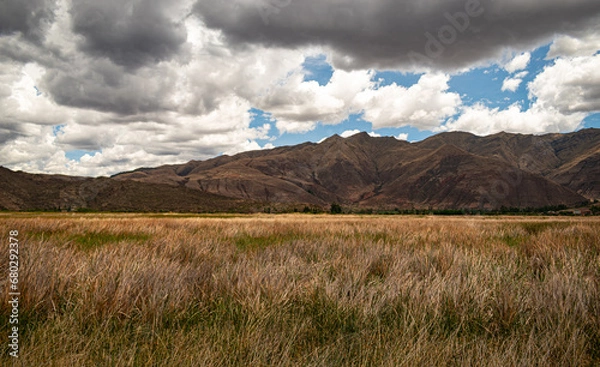 Obraz tranquil landscape with grass of different colors in the foreground, mountains and clouds in the background