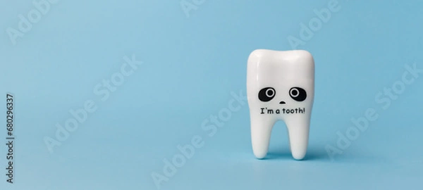 Fototapeta White tooth model on blue background. Space for text. Copy space. Close up. Dental health concept. Flat lay. Stomatology. Place for text. Oral health and dental inspection teeth. Dentistry.