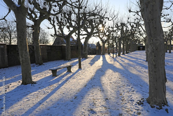 Obraz Park im Winter