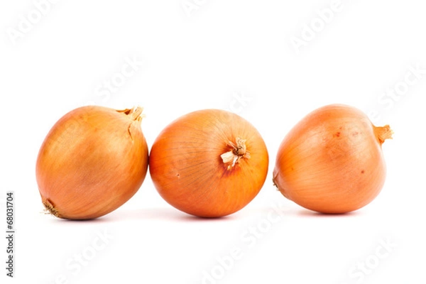 Obraz Ripe onion on a white background