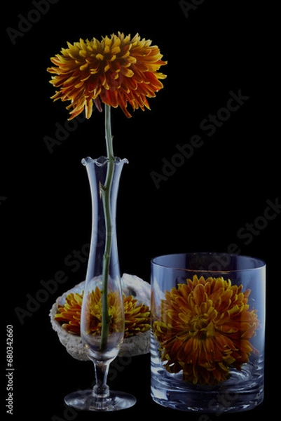 Fototapeta A Tale of Three Blooms