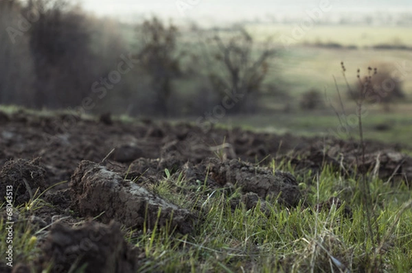 Fototapeta Plowing and green grass.