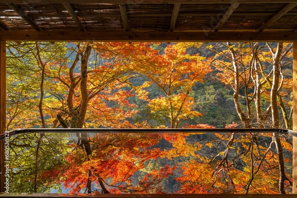 Obraz 水鏡に映り込む紅葉リフレクション（京都・嵐山夢祐斎）