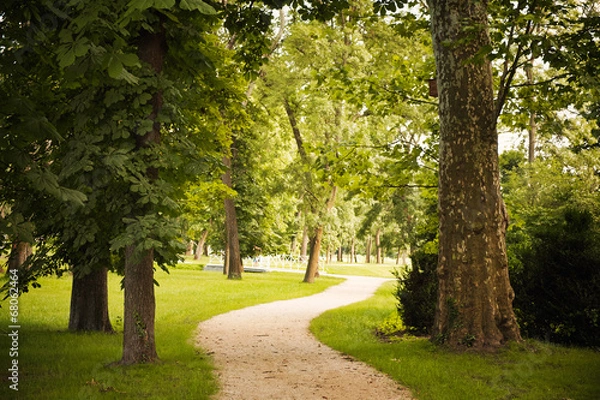 Obraz Footpath in the park