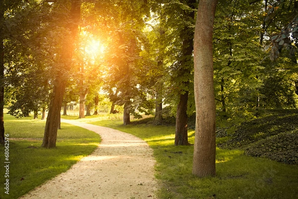 Obraz Footpath in the park