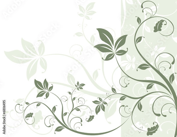 Fototapeta nature background