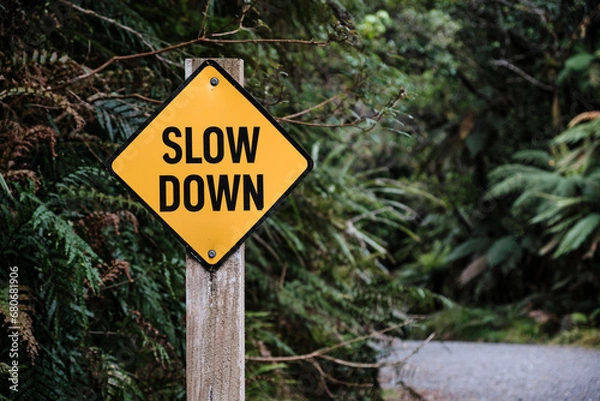 Obraz Slow Down sign in the park