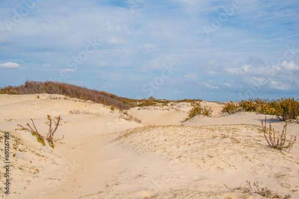 Fototapeta Assateague Island in Fall