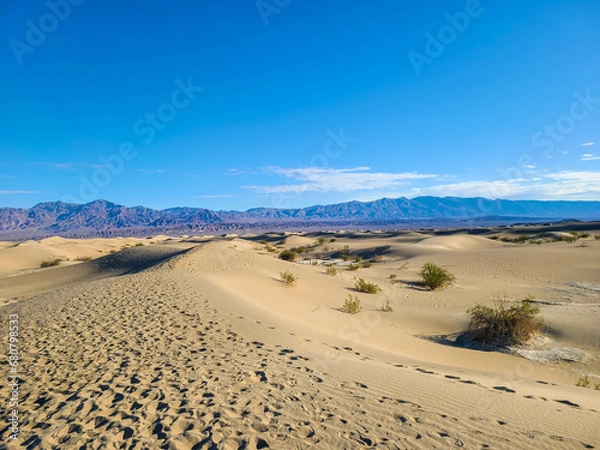 Obraz Desert Landscapes Death Valley