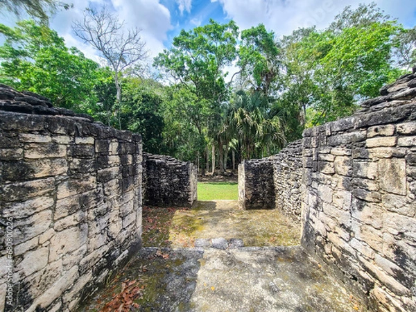 Fototapeta Maya Ruins in the Jungle
