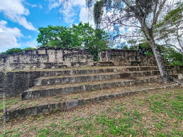 Fototapeta Maya Ruins in the Jungle