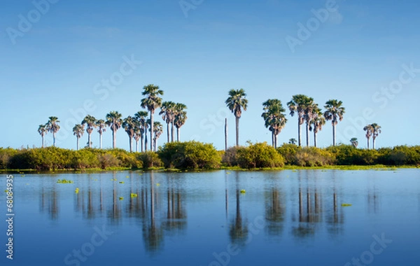 Obraz palm trees reflecting in the lake manze in africa