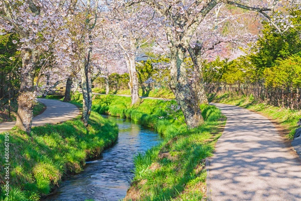 Obraz 忍野八海新名庄川