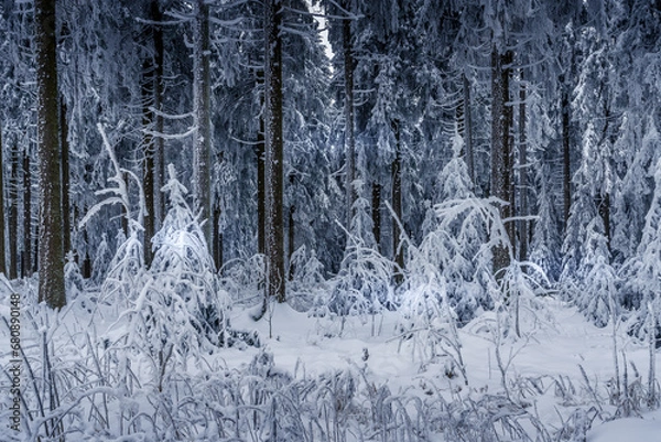 Obraz Winterlandschaft