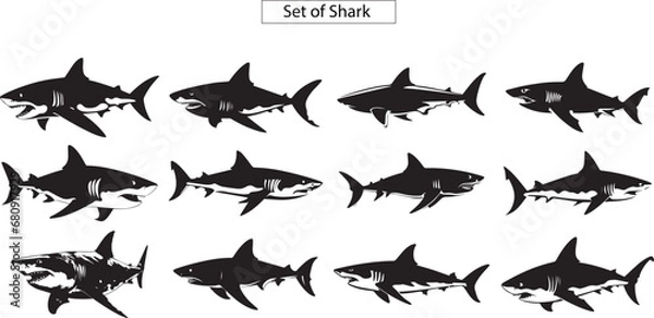 Fototapeta 12 sharks silhouette set
