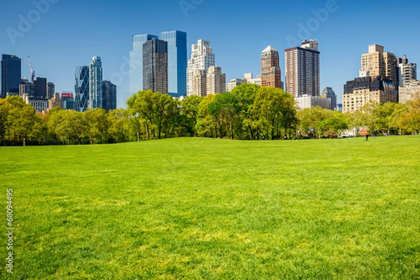 Obraz Central Park w Nowym Jorku