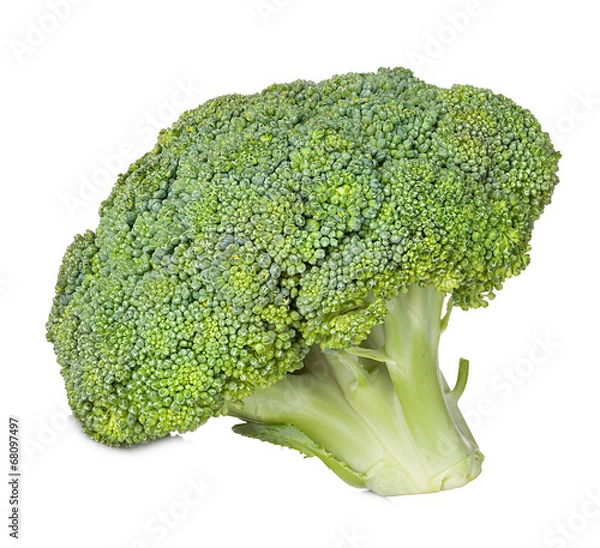 Obraz broccoli isolated on white background