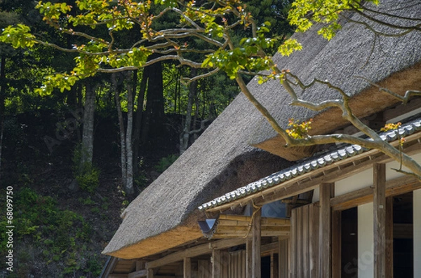 Fototapeta 茅葺屋根の家