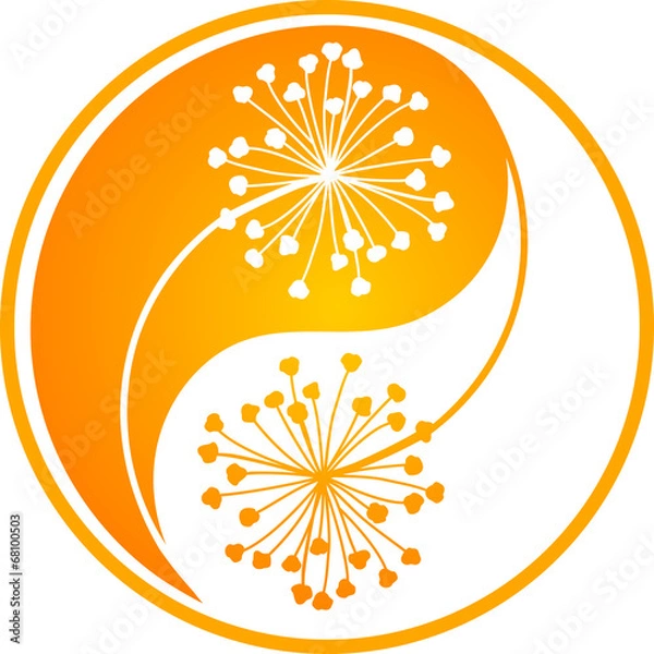 Fototapeta Orange dandelion