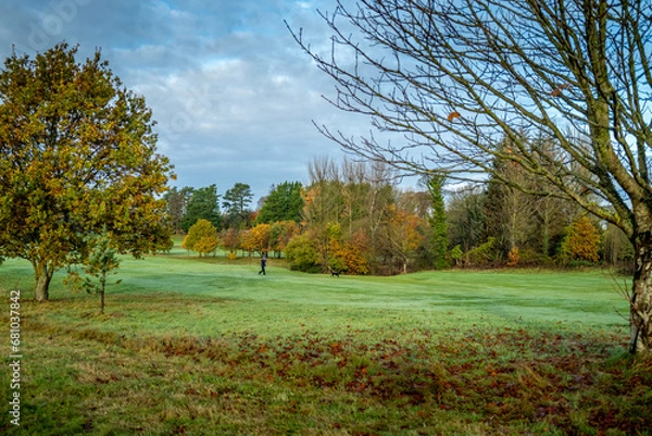 Obraz autumn landscape with trees