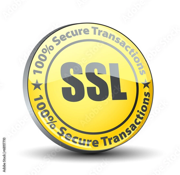 Obraz SSL 100% Secure Transactions