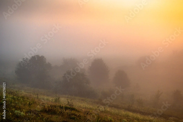 Fototapeta Golden sun rising . Summer morning . Landscape with sun and fog . Golden and red sun rise over the forest . Forest misty . 