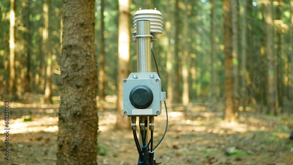 Fototapeta Science dendrometer technology trunk fire forest risk scientific measurement early warning systems, monitoring forecast current danger wildfires particular wood agriculture crops tree station