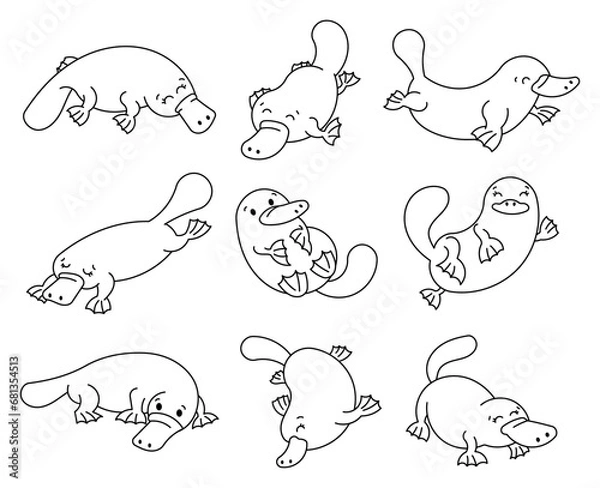 Fototapeta Cute little platypus. Coloring Page. Cartoon funny animal characters. Hand drawn style. Vector drawing. Collection of design elements.