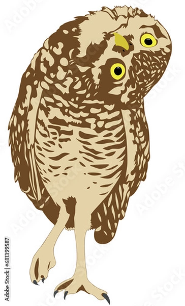 Fototapeta A curious owl tilted its head and examines you, isolated drawing on a white background