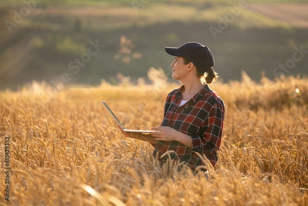 Fototapeta Woman farmer working with laptop on wheat field. Smart farming and digital agriculture..