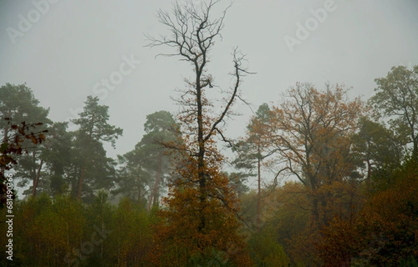 Obraz Jesień w połowie