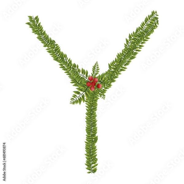 Obraz Letter Y Christmas