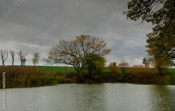 Fototapeta Kolorowa jesień 