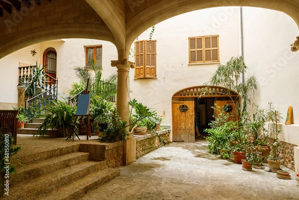 Fototapeta The typical cozy courtyard with lots of plants in pots in Fornalutx