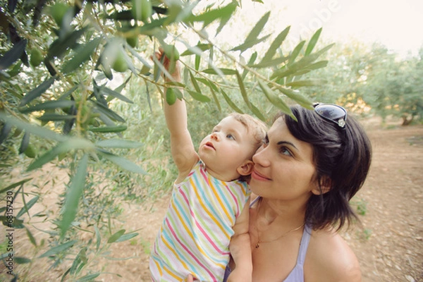 Fototapeta Girl and Olive Tree