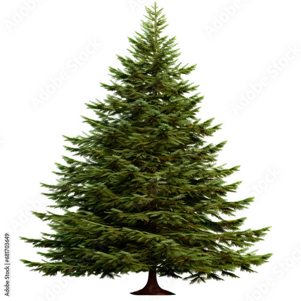 Obraz Christmas Tree, PNG