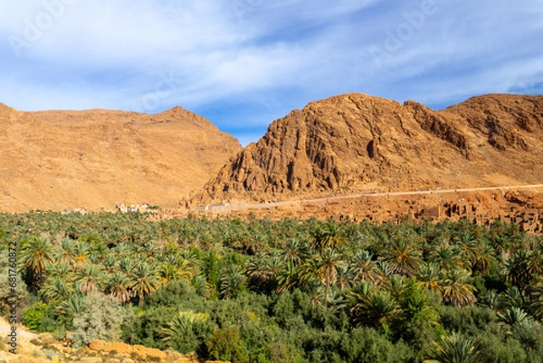 Obraz Photo of the Tinghir palm grove. View of the city and all the palm trees between the rocky mountains. Sunny day.