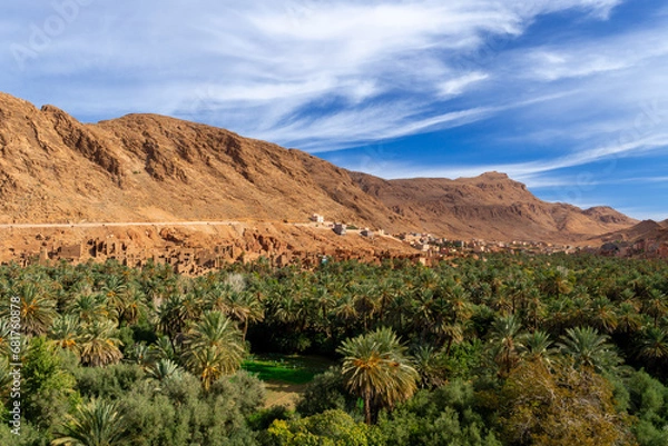 Obraz Photo of the Tinghir palm grove. View of the city and all the palm trees between the rocky mountains. Sunny day.