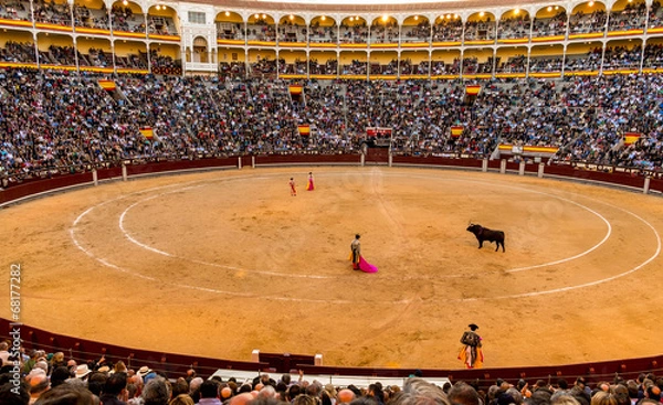 Obraz Bullfight