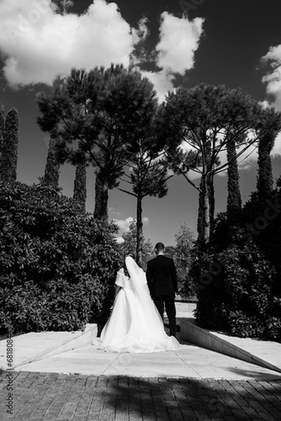Obraz bride and groom walking in the park