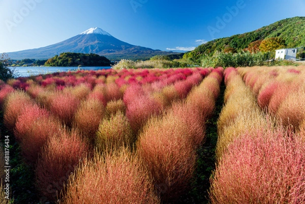 Obraz 川口湖畔の大石公園から望む秋晴れの富士山