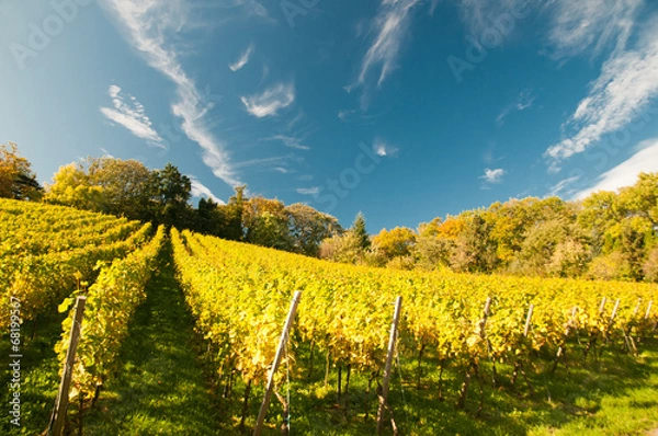 Obraz Weingut an der hessischen Bergstrasse