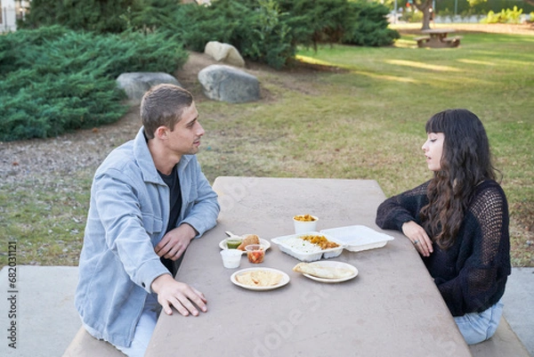 Obraz Couple eats Indian food at picnic table