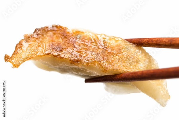 Obraz 焼き餃子 jaozi dumpling 白背景