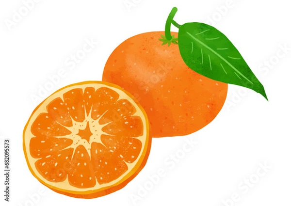 Obraz 定番の果物みかん2個セット。リアルでかわいいタッチ。(葉付き+カット断面)