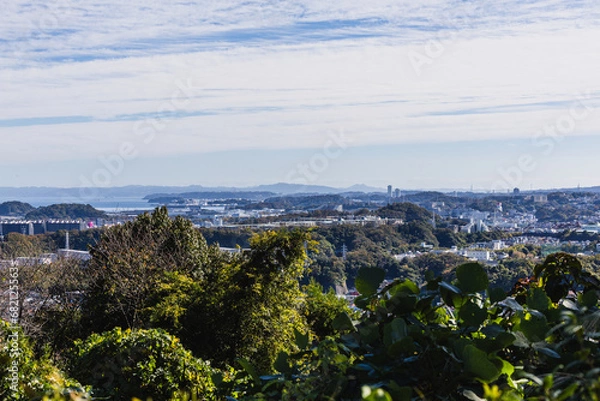Obraz 金沢動物園からの景色