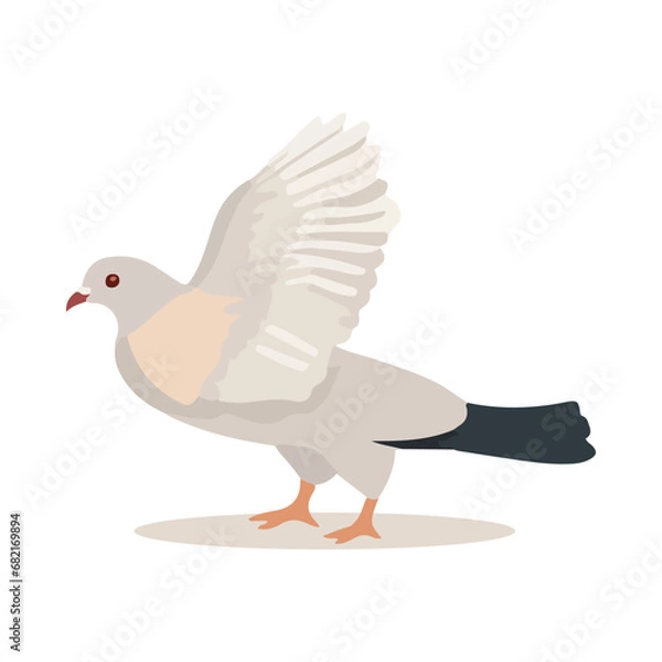 Obraz Pigeon bird isolated on white background. Cartoon style. Vector illustration.