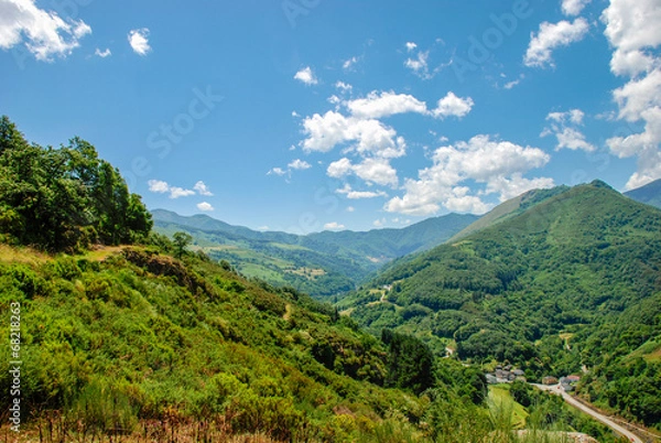 Obraz narcea river valley