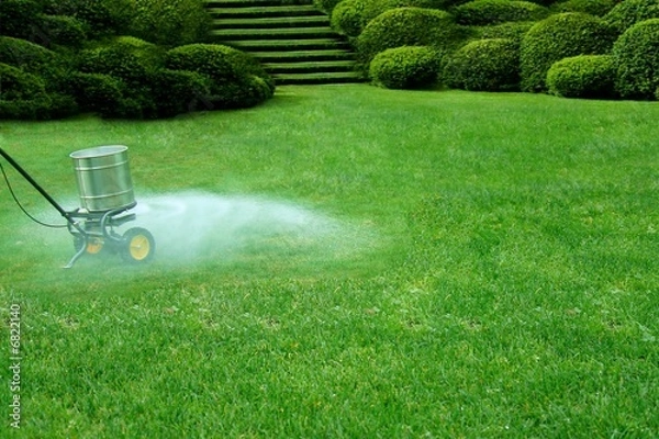 Fototapeta Pielęgnacja trawnika