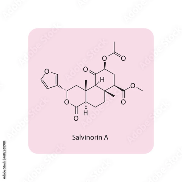 Fototapeta Diagram showing phospholipid structures - Liposome, micelle, monolayer and bilayer. Blue and yellow scientific vector illustration.